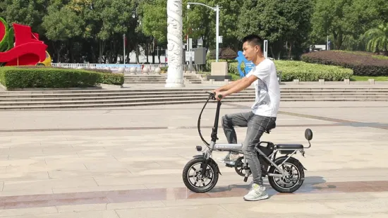 Foldable Electric Bike for India′s Urban Lifestyle